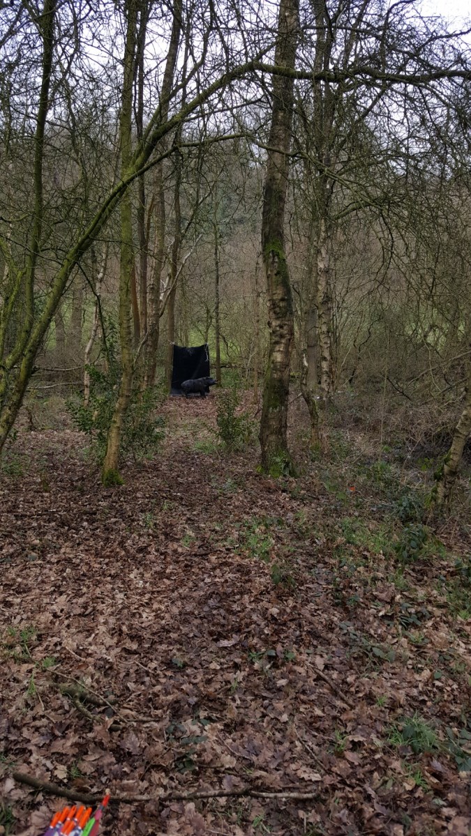 Another 3D boar shot at wolverine. It was actually shoot from the right off a bank