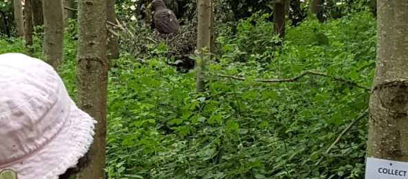 Sharon shooting the Eagle in the Nest