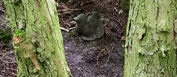 View from the peg of a 3D squirrel