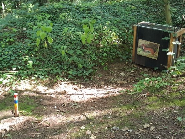 Centaura Bowmen shot