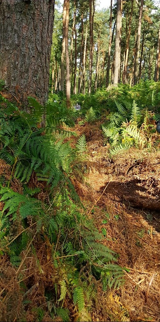 Paper face big cat on Saturday