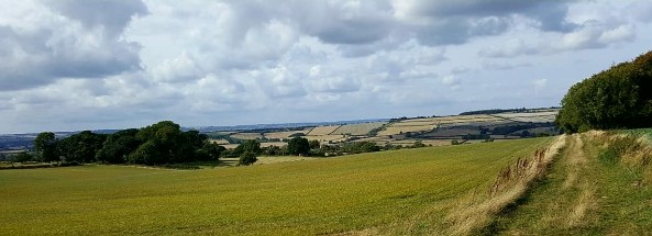 NFAS National Championships