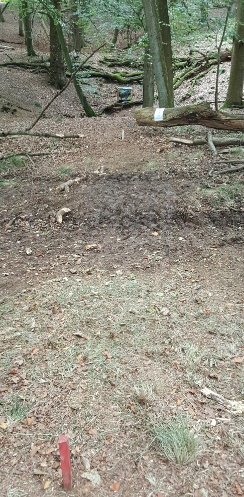 Sunday Course - shot into the hollow