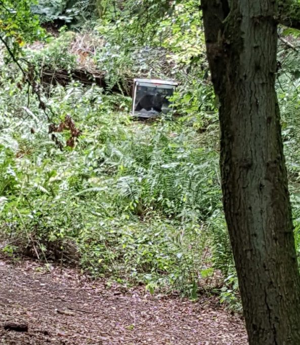 Bear target face in the woods