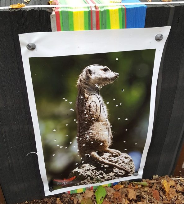 Meerkat target on the boss