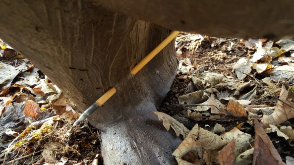 Sharon showing off her trick shooting with a lucky shot on a 3D bear