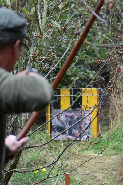 Shot between the trees on B course