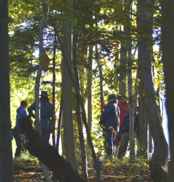 Archers in the woods