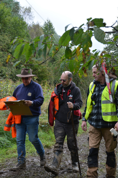 Stroll in the woods with Harry