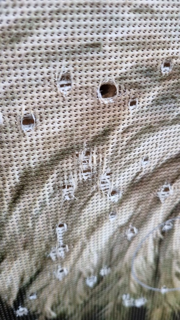 close up of target face