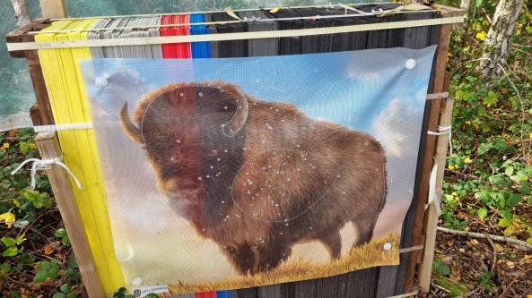 Bison target face