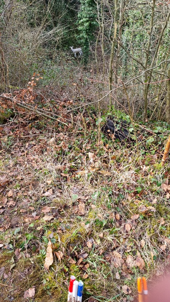 3D Deer bottom on quarry