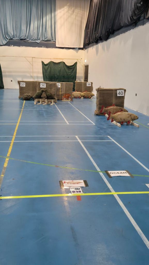 Gallery of photos form Hall B