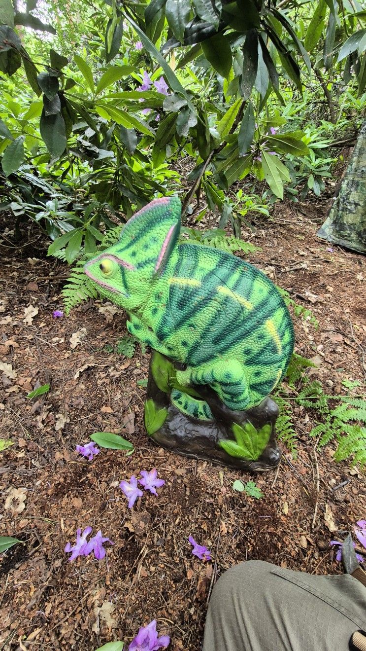 Chameleon 