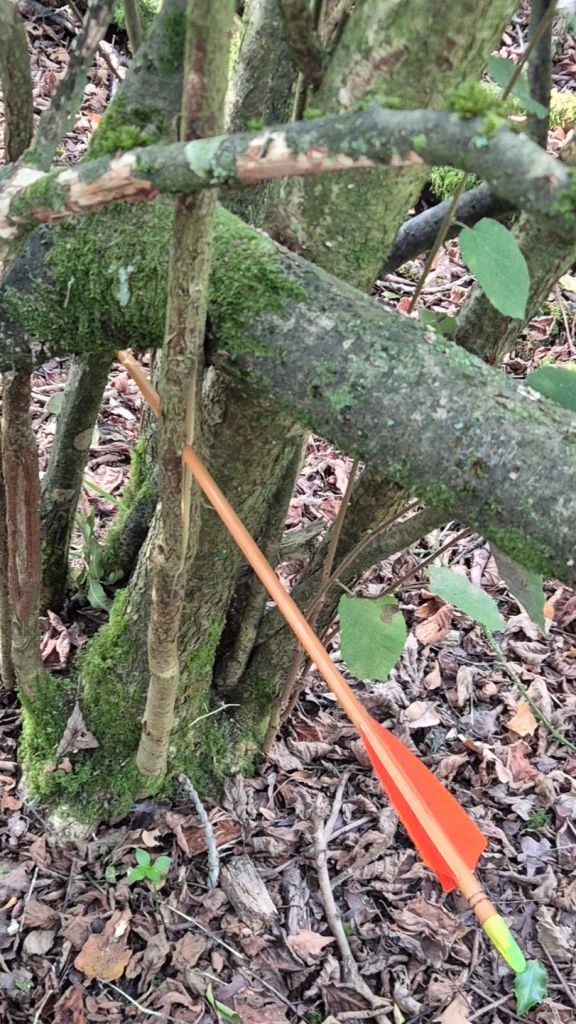 Arrow splitting sapling
